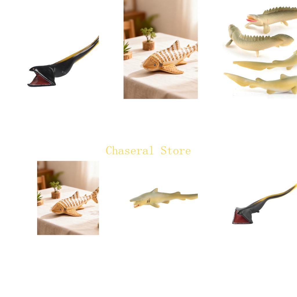 Science Exhibition Models - E7CE Realistic Fish Model for Science