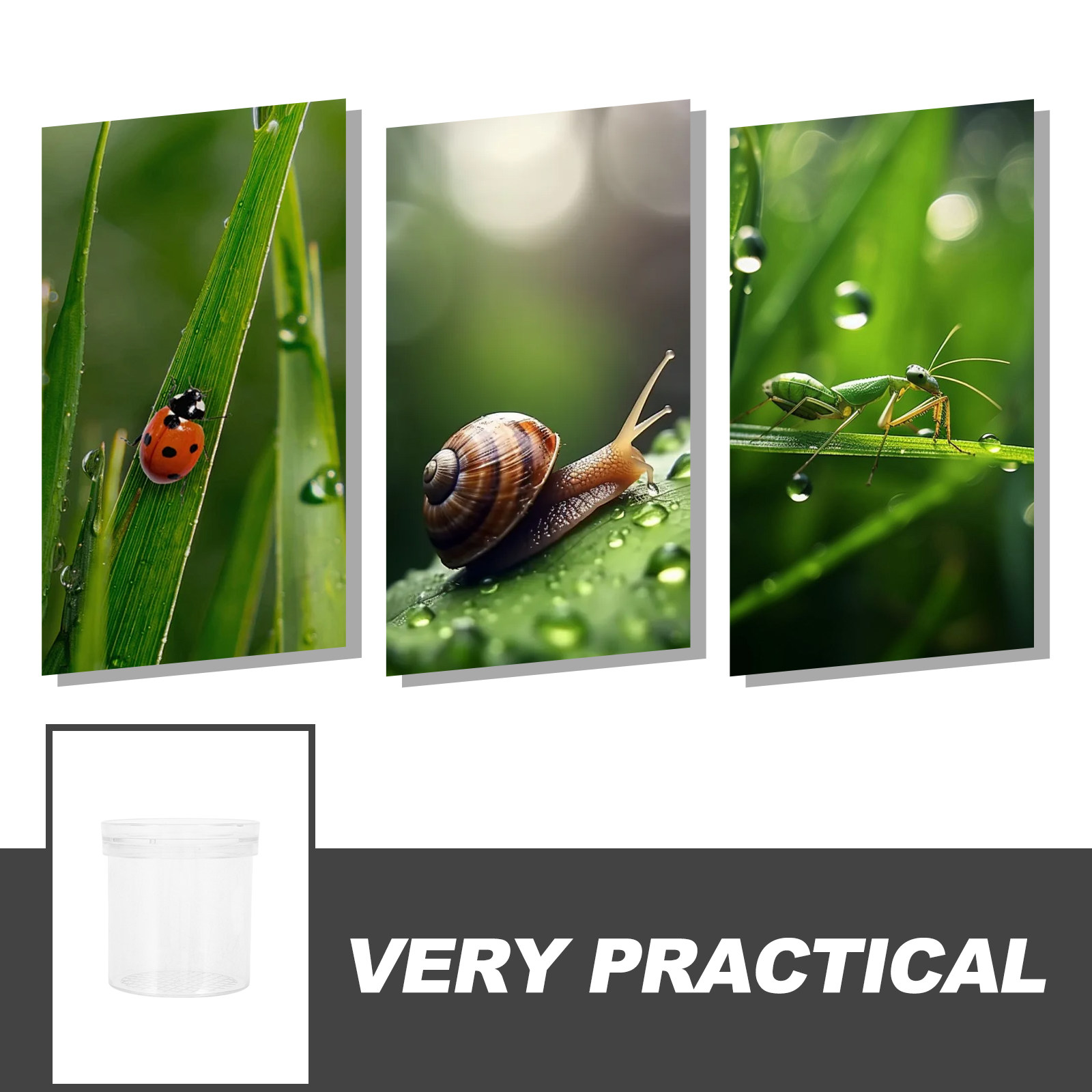 3X Magnifying Insect Observati - огляд і ціна Science Toys