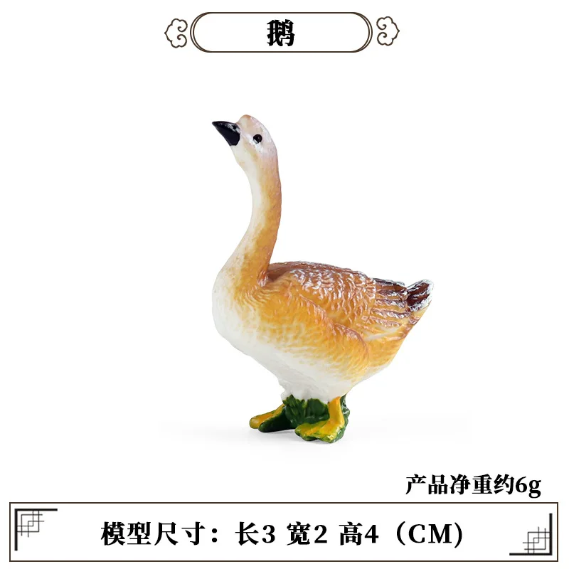 Education Teaching Tool Poultr - огляд і ціна Science Toys