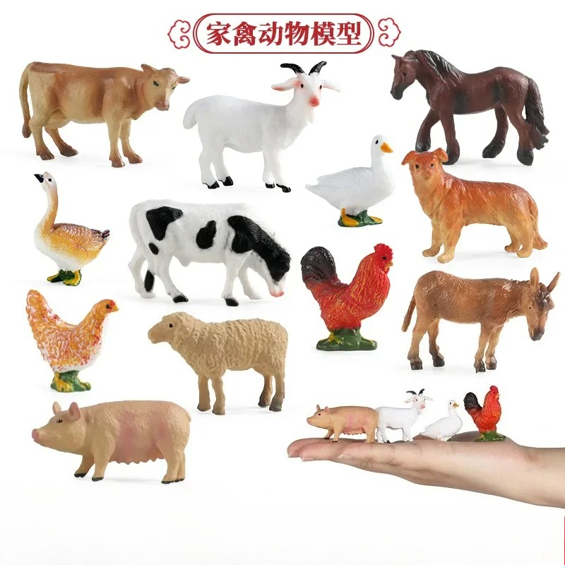 Education Teaching Tool Poultr - огляд і ціна Science Toys