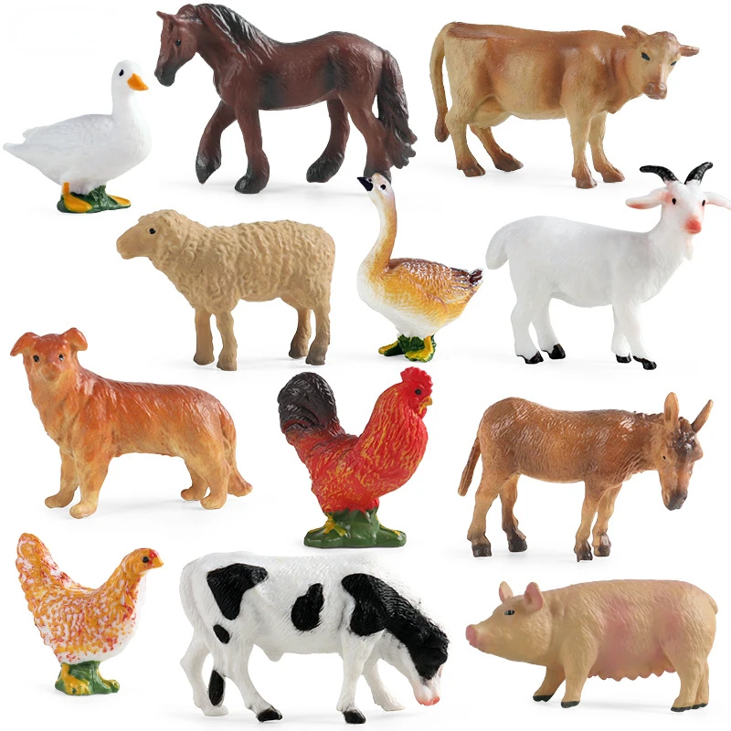 Education Teaching Tool Poultr - огляд і ціна Science Toys